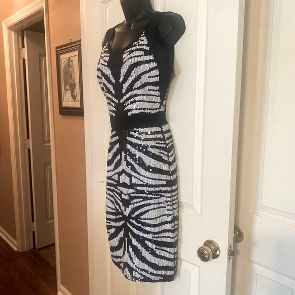 “BEBE” Zebra Stripes Sequin & Mesh Dress - Picture 5 of 11